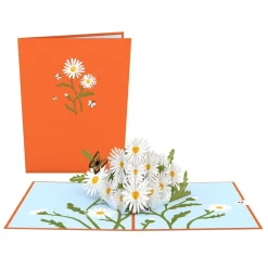 Lovepop Value Packs|Just Because|Garden 12-Pack Classic