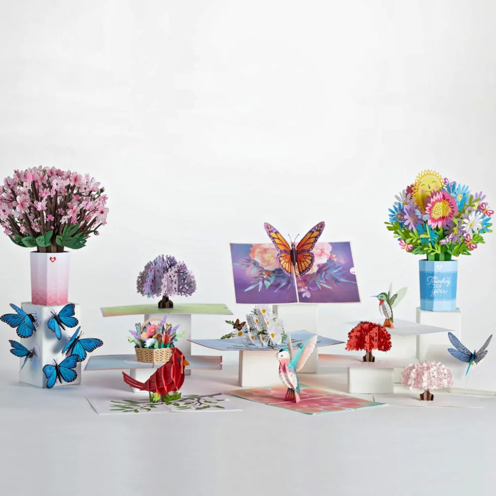 Lovepop Pop-Up Bouquets|Value Packs|Garden Super Pack