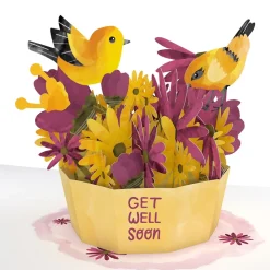 Lovepop Get Well|Get Well Soon Bird Paperpop® Card