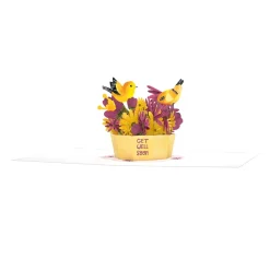 Lovepop Get Well|Get Well Soon Bird Paperpop® Card