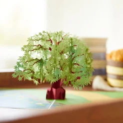 Lovepop Greeting Cards|Just Because|Green Maple Tree Pop-Up Card