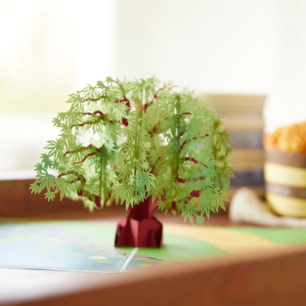 Lovepop Greeting Cards|Just Because|Green Maple Tree Pop-Up Card