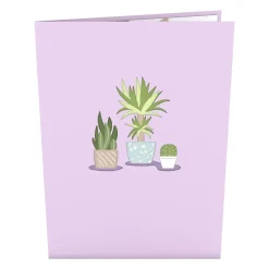 Lovepop Card & Gift Bundles|Notecards|Greenhouse Card & Notecard 4-Pack Bundle