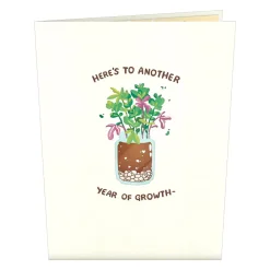 Lovepop Birthday|Her|Happy Birthday Plants Pop-Up Card