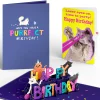 Lovepop Birthday|Happy Birthday with Cat Laser Eyes Pop-Up Card and Sentiment Set