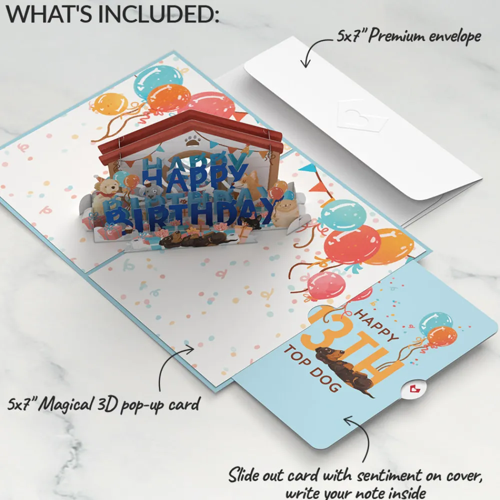 Lovepop Birthday|Happy 13th Birthday Dogs Pop-Up Card and Sentiment Set