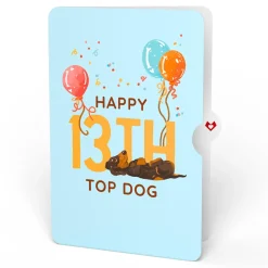 Lovepop Birthday|Happy 13th Birthday Dogs Pop-Up Card and Sentiment Set
