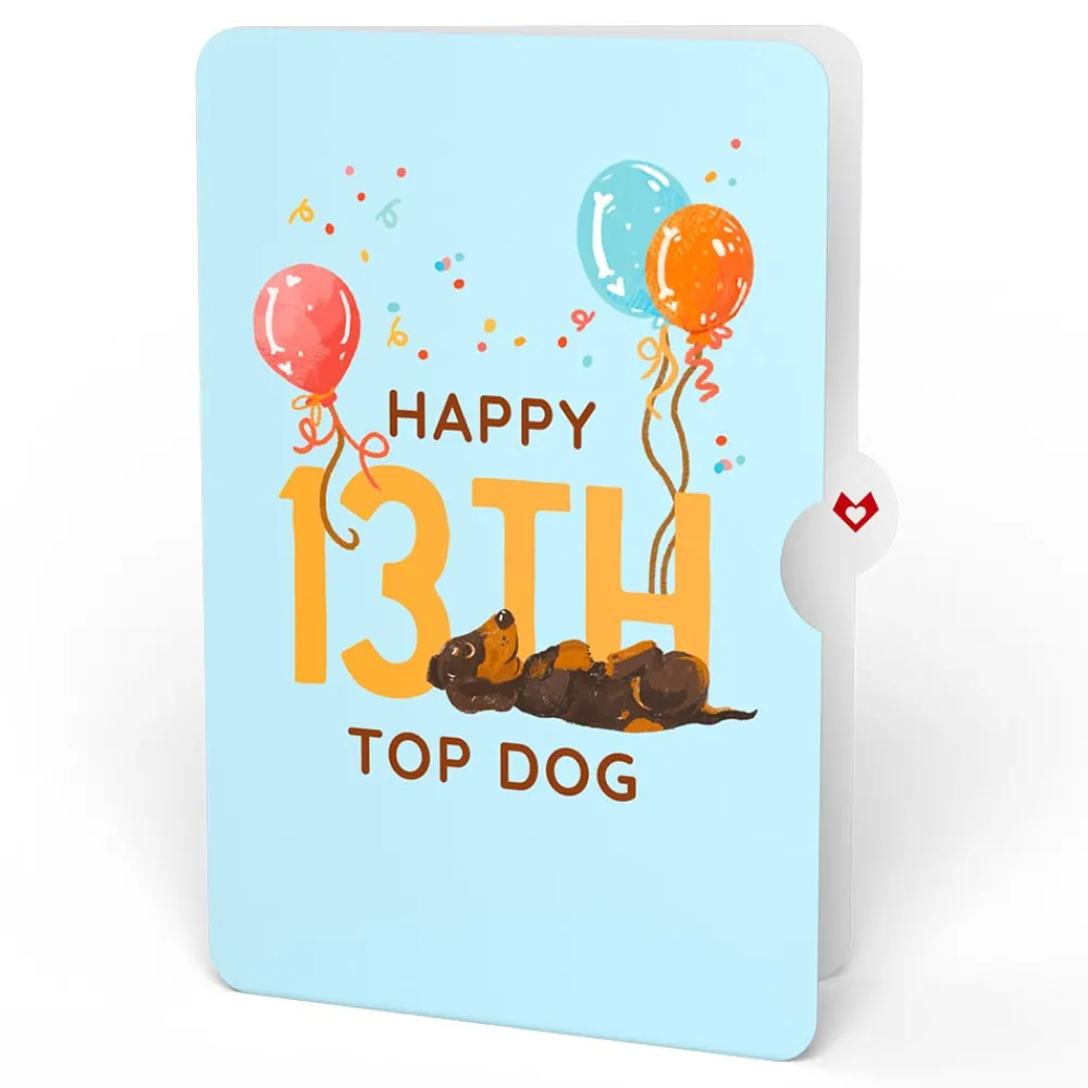 Lovepop Birthday|Happy 13th Birthday Dogs Pop-Up Card and Sentiment Set