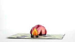 Lovepop Greeting Cards|Retirement|Happy Trails Camping Trip Pop-Up Card