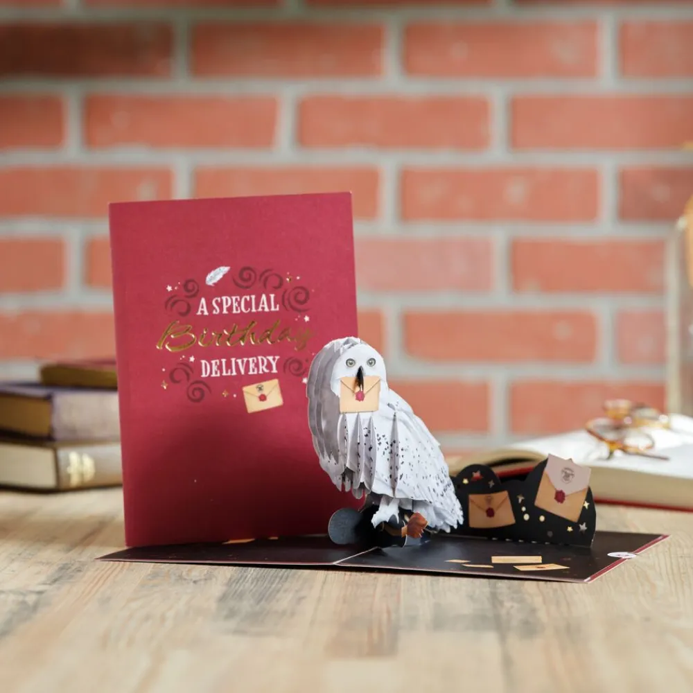 Lovepop Greeting Cards|Birthday|Harry Potter™ Hedwig™ Birthday Delivery Pop-Up Card