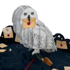 Lovepop Greeting Cards|Birthday|Harry Potter™ Hedwig™ Birthday Delivery Pop-Up Card