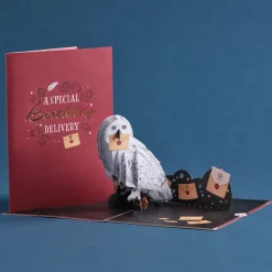 Lovepop Greeting Cards|Birthday|Harry Potter™ Hedwig™ Birthday Delivery Pop-Up Card