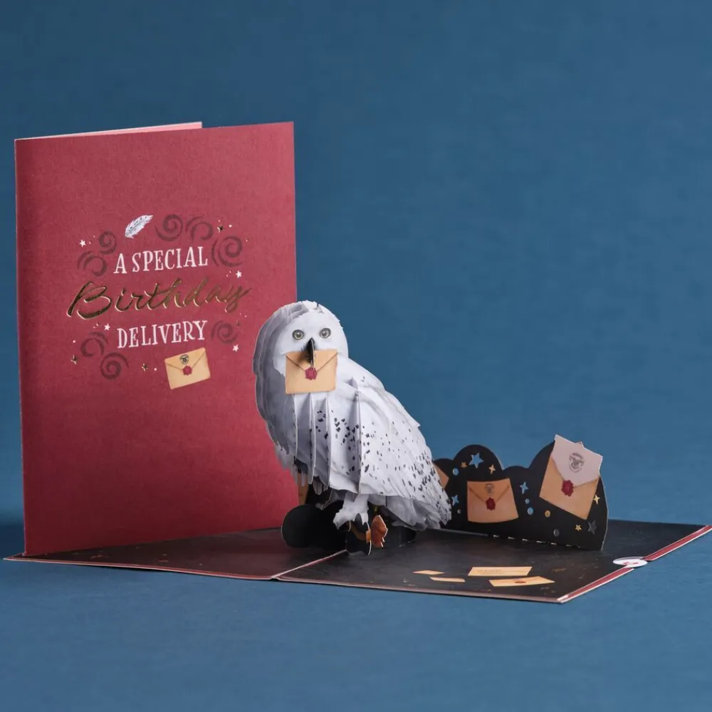 Lovepop Greeting Cards|Birthday|Harry Potter™ Hedwig™ Birthday Delivery Pop-Up Card