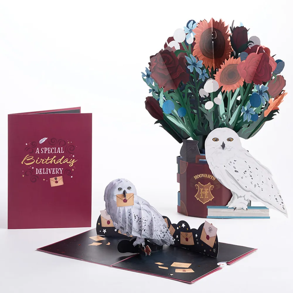 Lovepop Pop-Up Bouquets|Card & Gift Bundles|Harry Potter™ Hedwig™ Birthday Pop-Up Card & Flower Buds Bouquet Bundle
