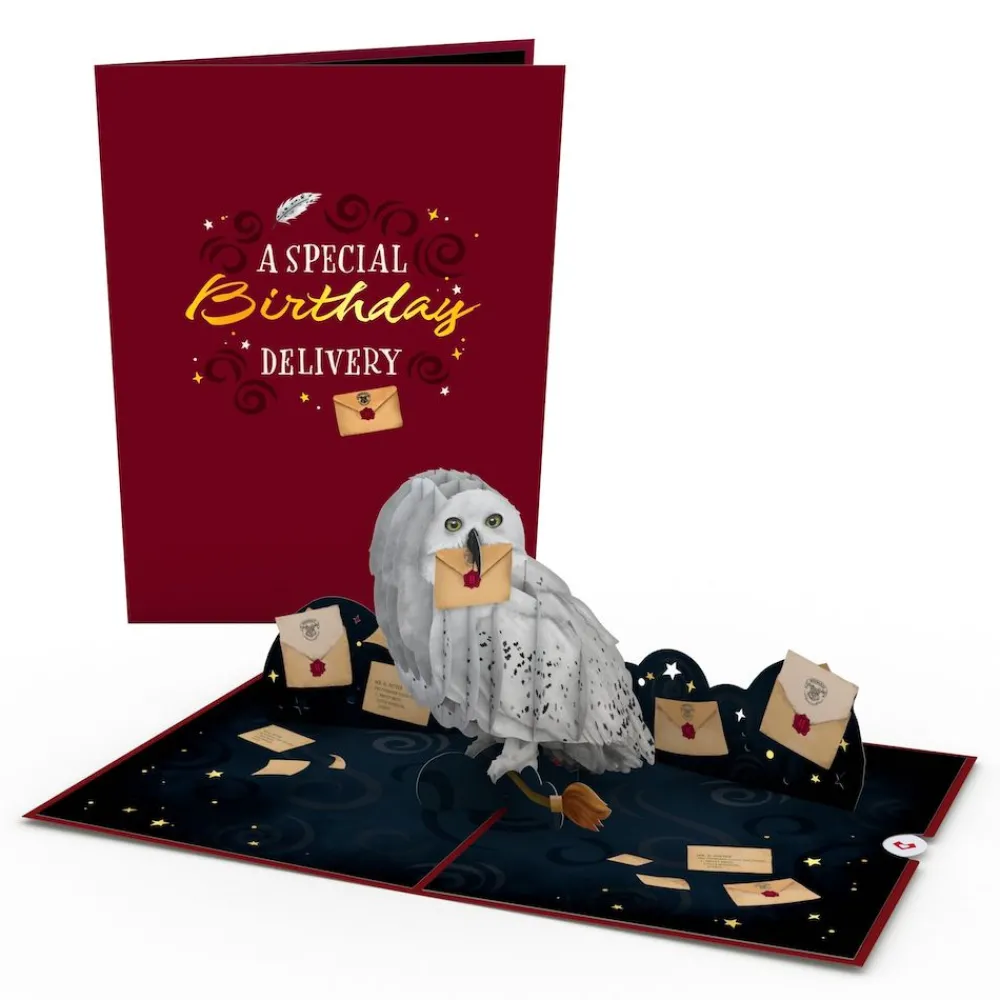 Lovepop Pop-Up Bouquets|Card & Gift Bundles|Harry Potter™ Hedwig™ Birthday Pop-Up Card & Flower Buds Bouquet Bundle
