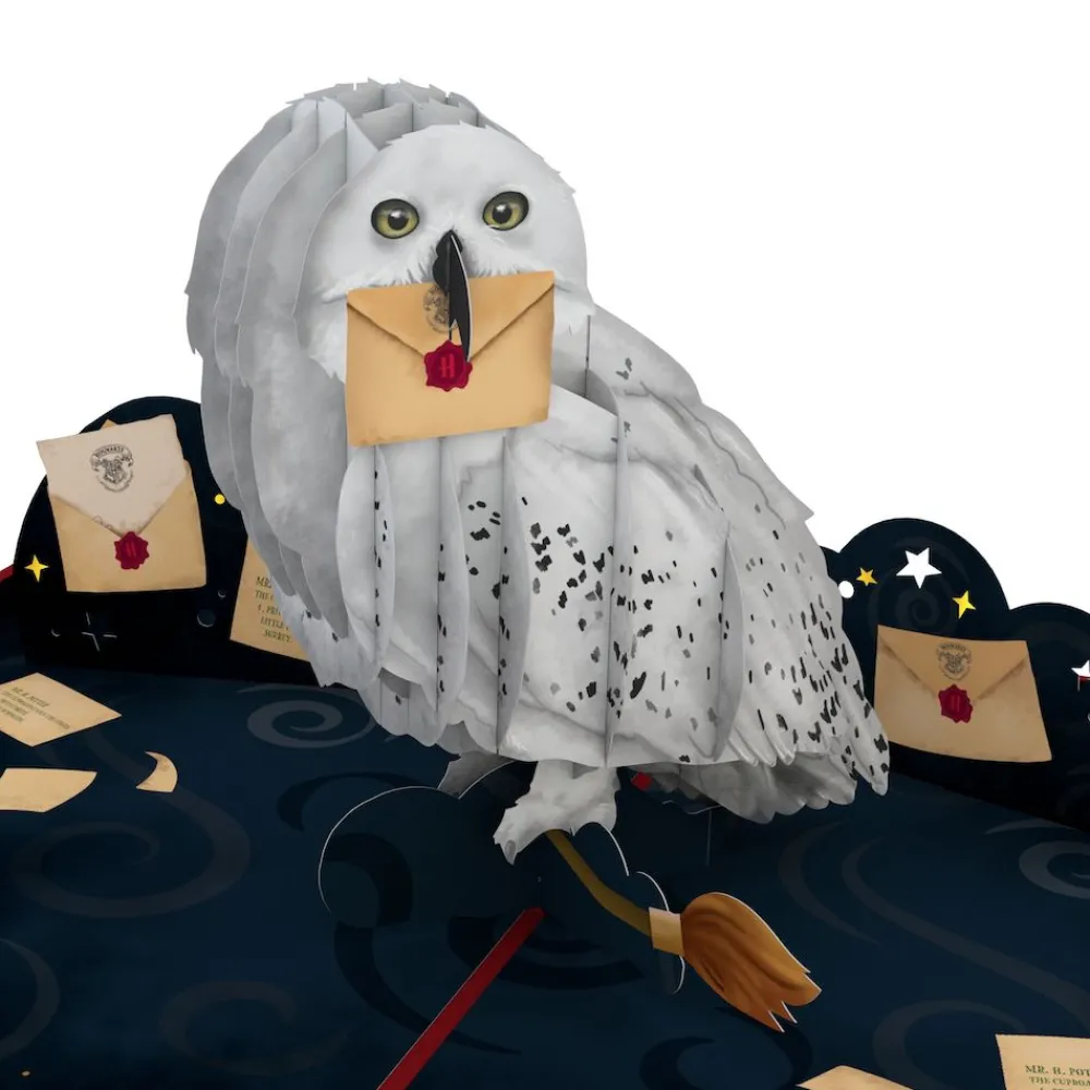 Lovepop Pop-Up Bouquets|Card & Gift Bundles|Harry Potter™ Hedwig™ Birthday Pop-Up Card & Flower Buds Bouquet Bundle