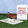 Lovepop Birthday|Harry Potter|Harry Potter™ Seeker Birthday Pop-Up Card