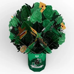 Lovepop Card & Gift Bundles|Birthday|Harry Potter™ Slytherin™ Birthday Bundle