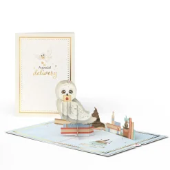 Lovepop Baby|Congratulations|Harry Potter™ Special Delivery Baby Pop-Up Card