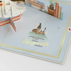 Lovepop Baby|Congratulations|Harry Potter™ Special Delivery Baby Pop-Up Card