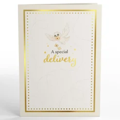 Lovepop Baby|Congratulations|Harry Potter™ Special Delivery Baby Pop-Up Card