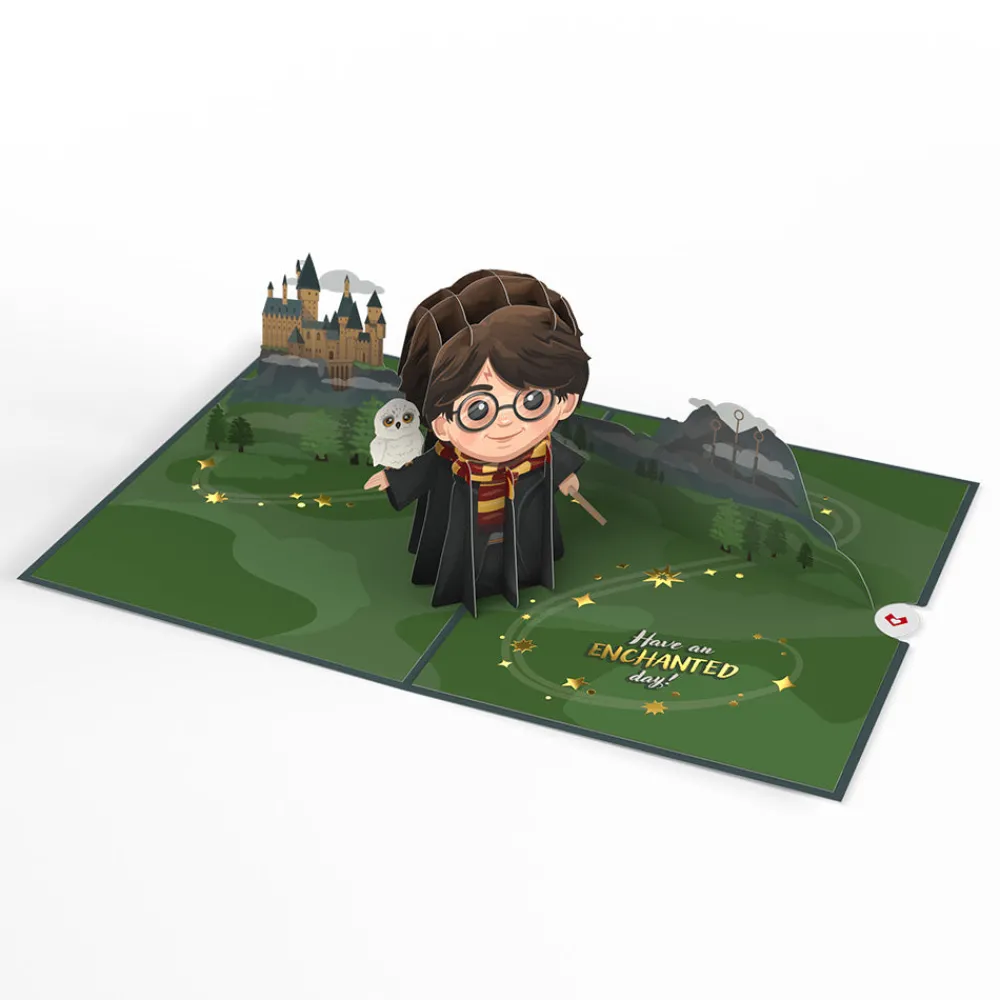 Lovepop Birthday|Harry Potter|Harry Potter™ The Chosen One Birthday Pop-Up Card