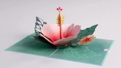Lovepop Greeting Cards|Birthday|Hibiscus Bloom Pop-Up Card