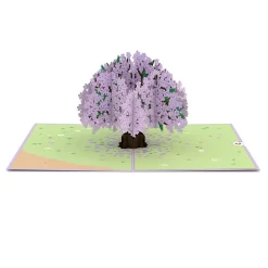 Lovepop Greeting Cards|Birthday|Jacaranda Tree Pop-Up Card