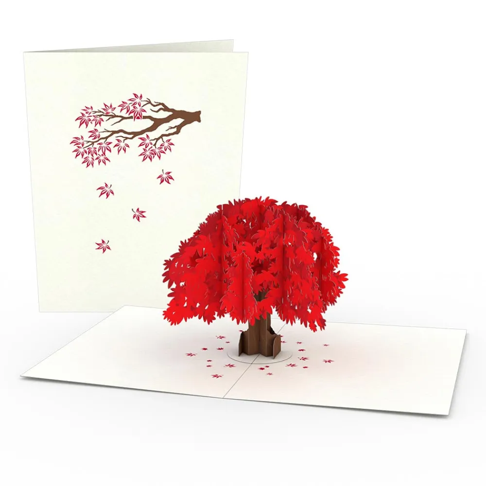 Lovepop Notecards|Just Because|Japanese Maple Notecards (4-Pack)