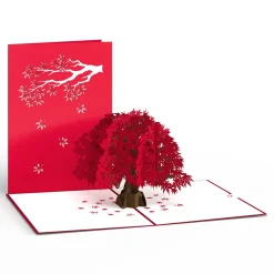 Lovepop Greeting Cards|Anniversary|Japanese Maple Pop-Up Card