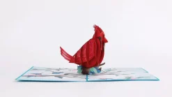 Lovepop Greeting Cards|Anniversary|Love Cardinal Pop-Up Card