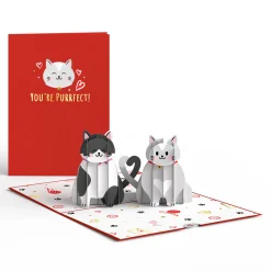 Lovepop Greeting Cards|Anniversary|Love Cats Pop-Up Card
