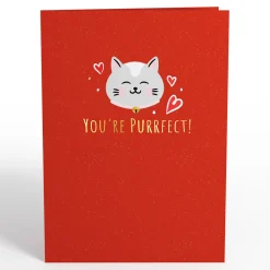 Lovepop Greeting Cards|Anniversary|Love Cats Pop-Up Card