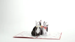Lovepop Anniversary|Just Because|Love Dogs Pop-Up Card