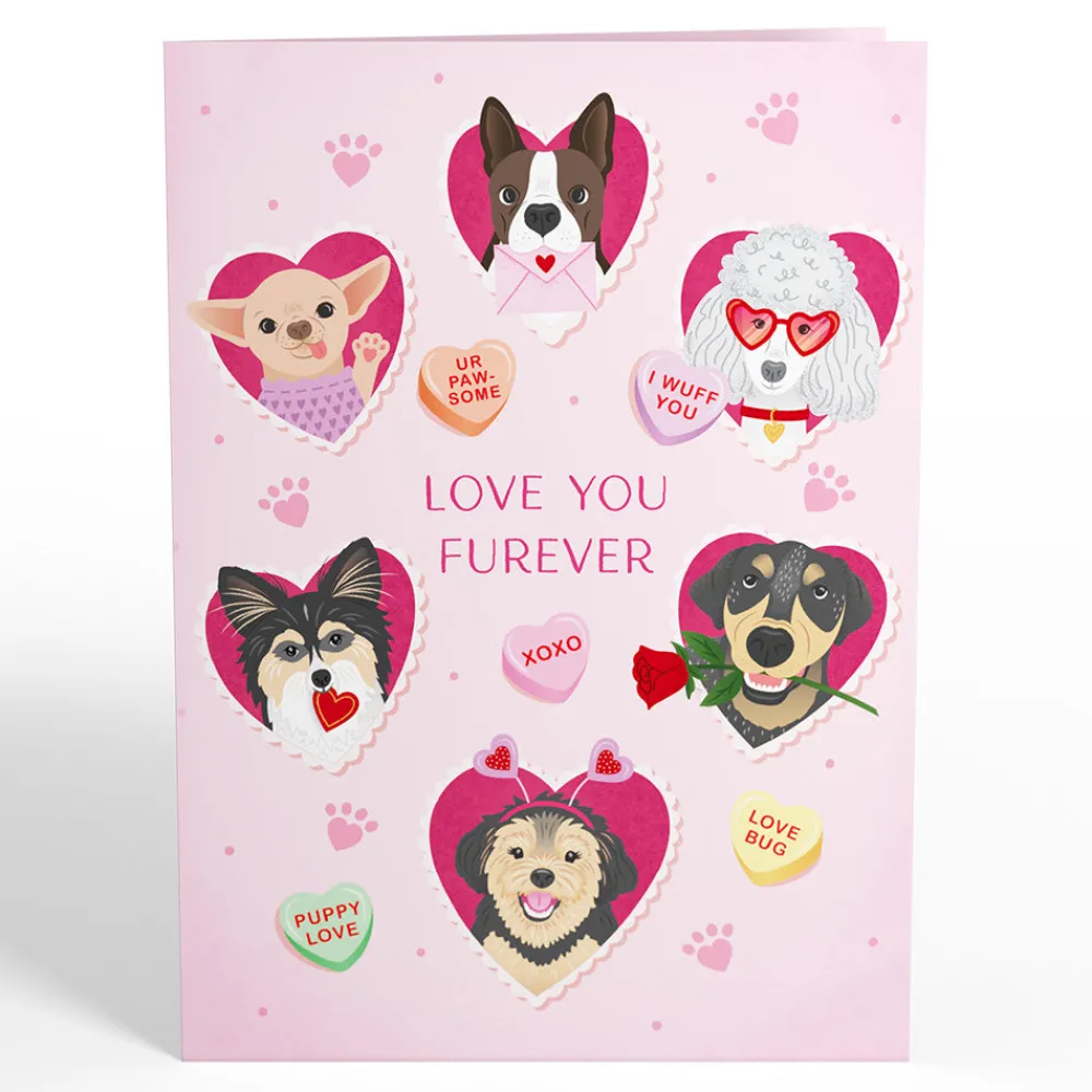 Lovepop Greeting Cards|Valentine'S Day 2/14|Love You Furever Dog Kisses Pop-Up Card