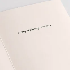 Lovepop Value Packs|Birthday|Press™ Birthday Collection 16-Pack