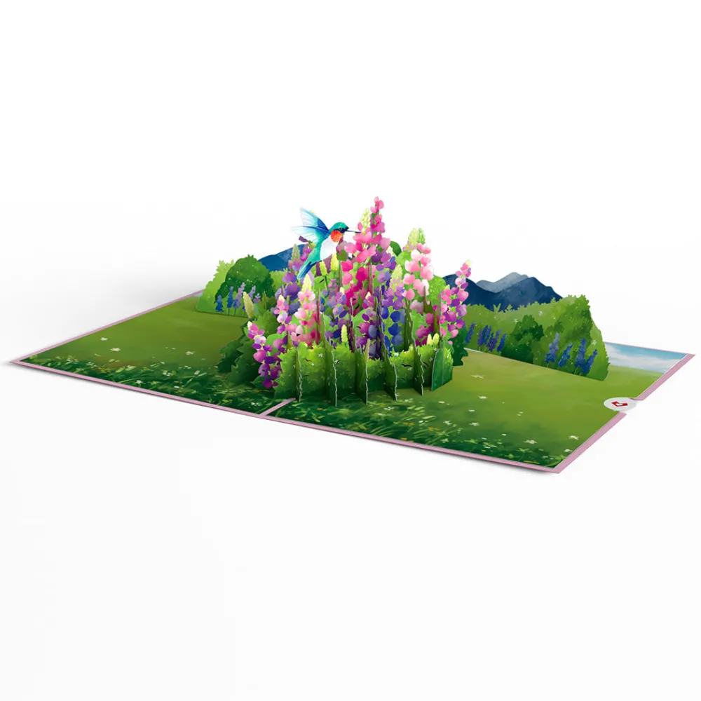 Lovepop Greeting Cards|Get Well|Lupine Hummingbird Pop-Up Card