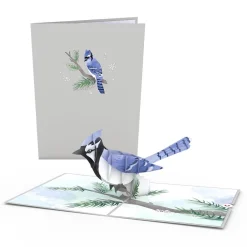 Lovepop Card & Gift Bundles|Christmas 12/25|Magical Holiday Gift Wrap & Card Bundle