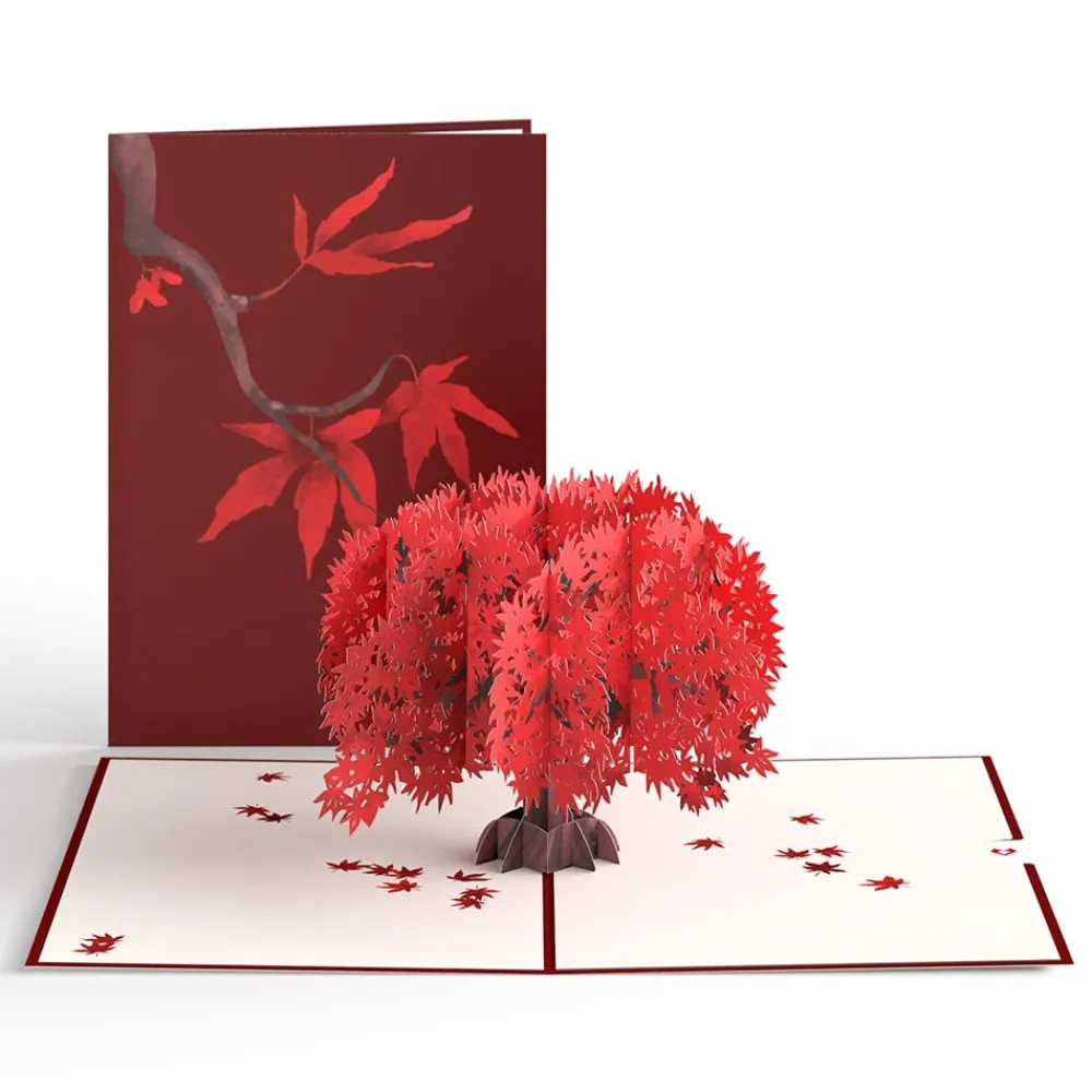 Lovepop Greeting Cards|Just Because|Majestic Japanese Maple Pop-Up Card