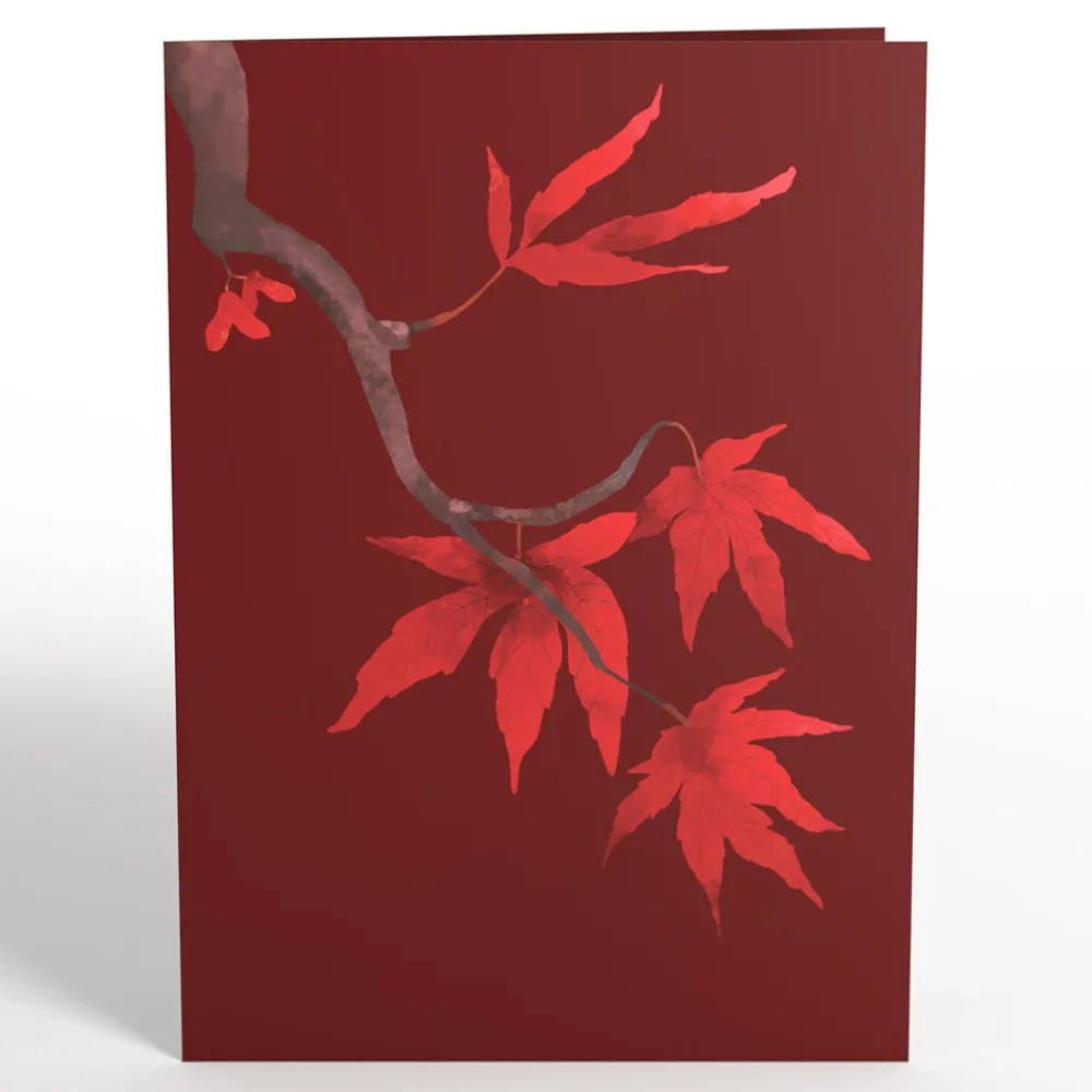 Lovepop Greeting Cards|Just Because|Majestic Japanese Maple Pop-Up Card
