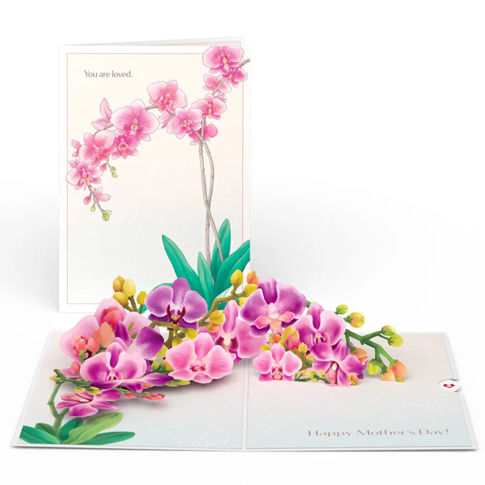 Lovepop Value Packs|Mother'S Day 5/11|Mother’s Day Elegant Florals 3-Pack
