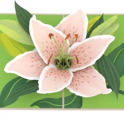 Lovepop Greeting Cards|Mother'S Day 5/11|Mother's Day Lily Bloom Pop-Up Card