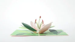 Lovepop Greeting Cards|Mother'S Day 5/11|Mother's Day Lily Bloom Pop-Up Card