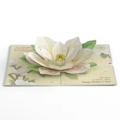 Lovepop Greeting Cards|Mother'S Day 5/11|Mother’s Day Magnolia Pop-Up Card