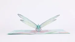 Lovepop Greeting Cards|International Women'S Day 3/8|Mother's Dragonfly Pop-Up Card