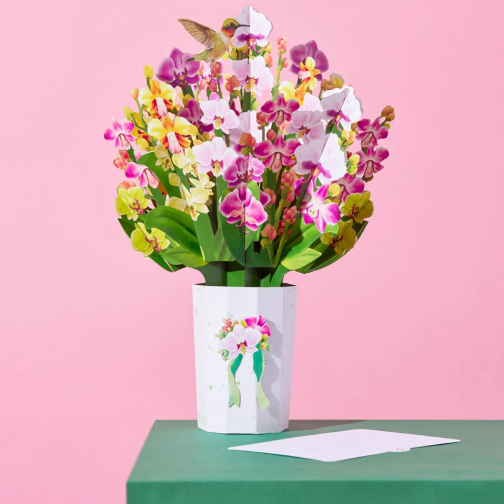 Lovepop Pop-Up Bouquets|Decor|Orchid Bouquet