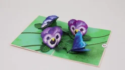 Lovepop Greeting Cards|Birthday|Pansies Pop-Up Card