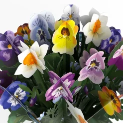 Lovepop Pop-Up Bouquets|Just Because|Pansy Bouquet