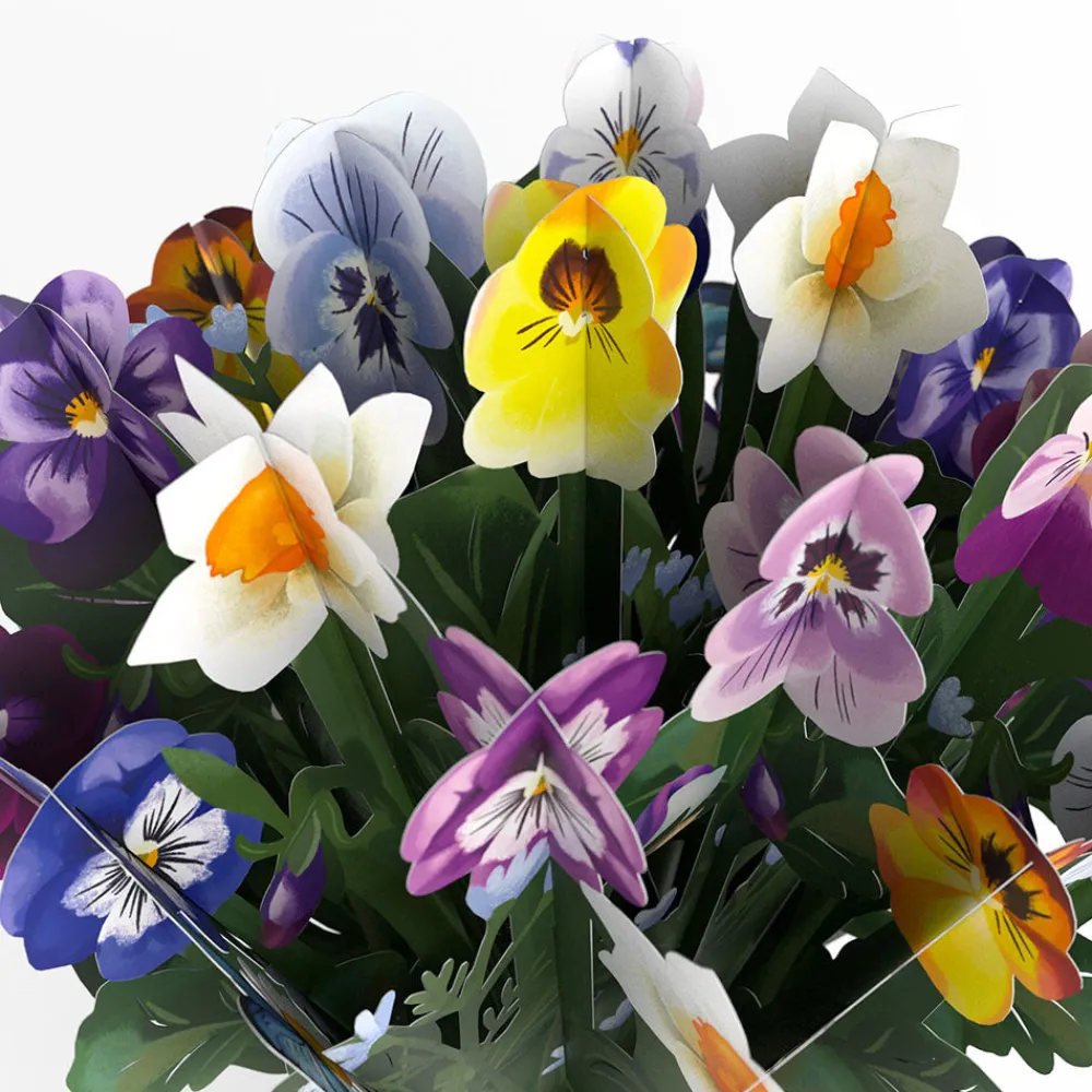 Lovepop Pop-Up Bouquets|Just Because|Pansy Bouquet