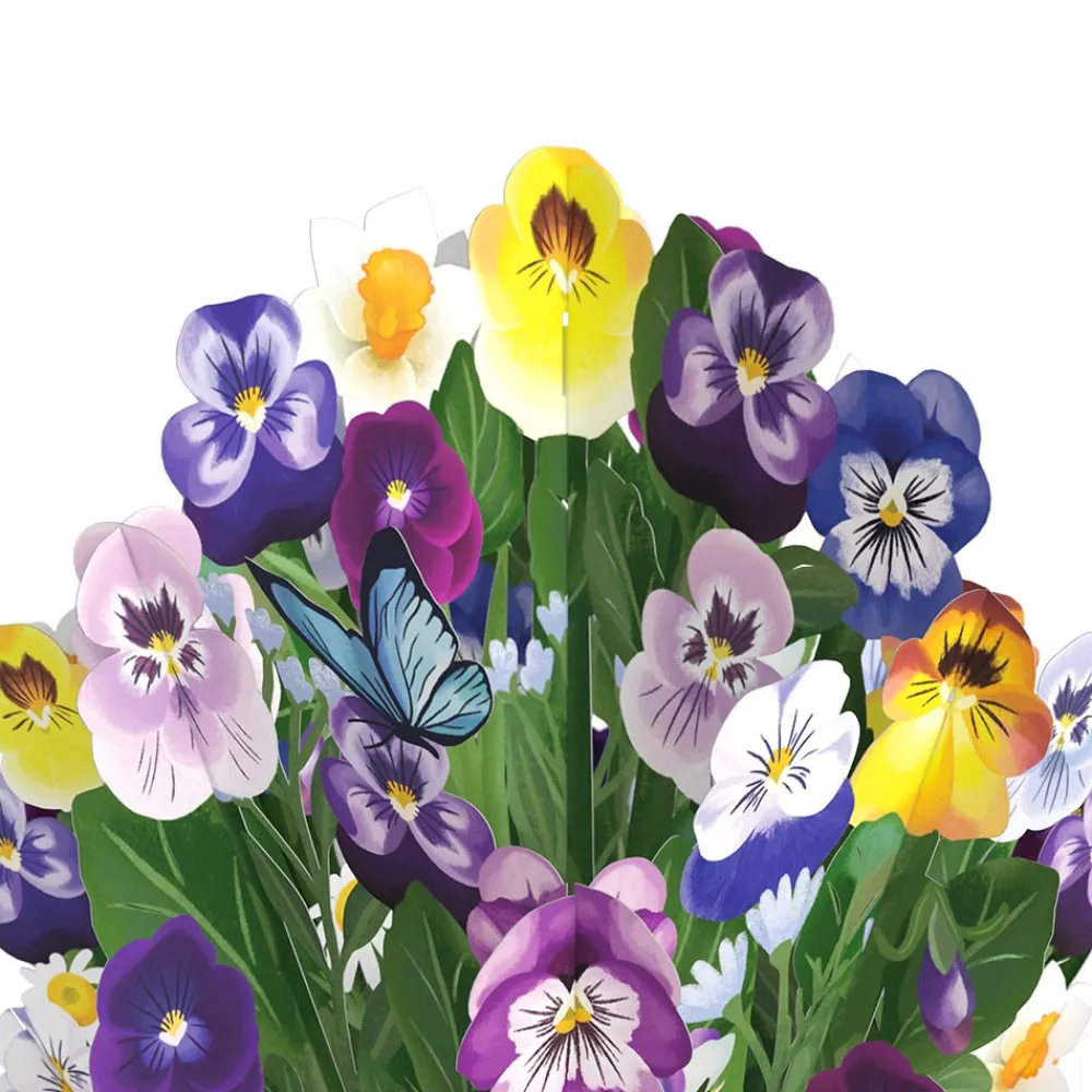 Lovepop Pop-Up Bouquets|Decor|Pansy Bouquet